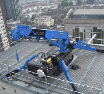 roof work application of mini spider crane