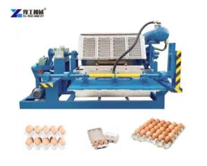 egg carton machine
