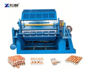 egg carton machine price