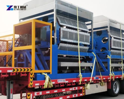egg tray manufacturing machine sold to Mexico