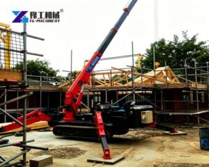 5t mini spider crane Singapore project