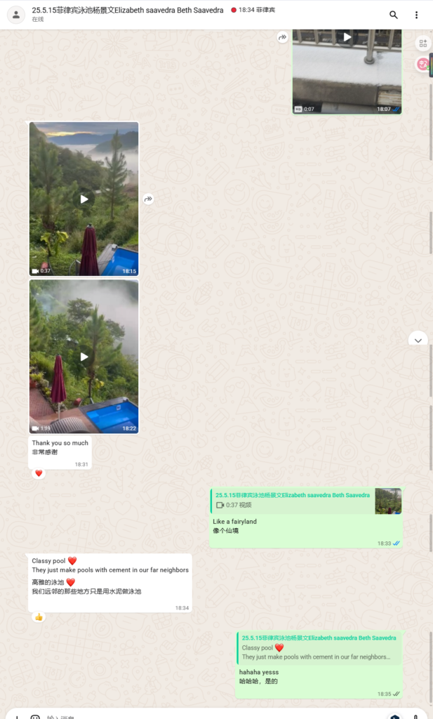 20ft swim pool feedback from the Philippine customer