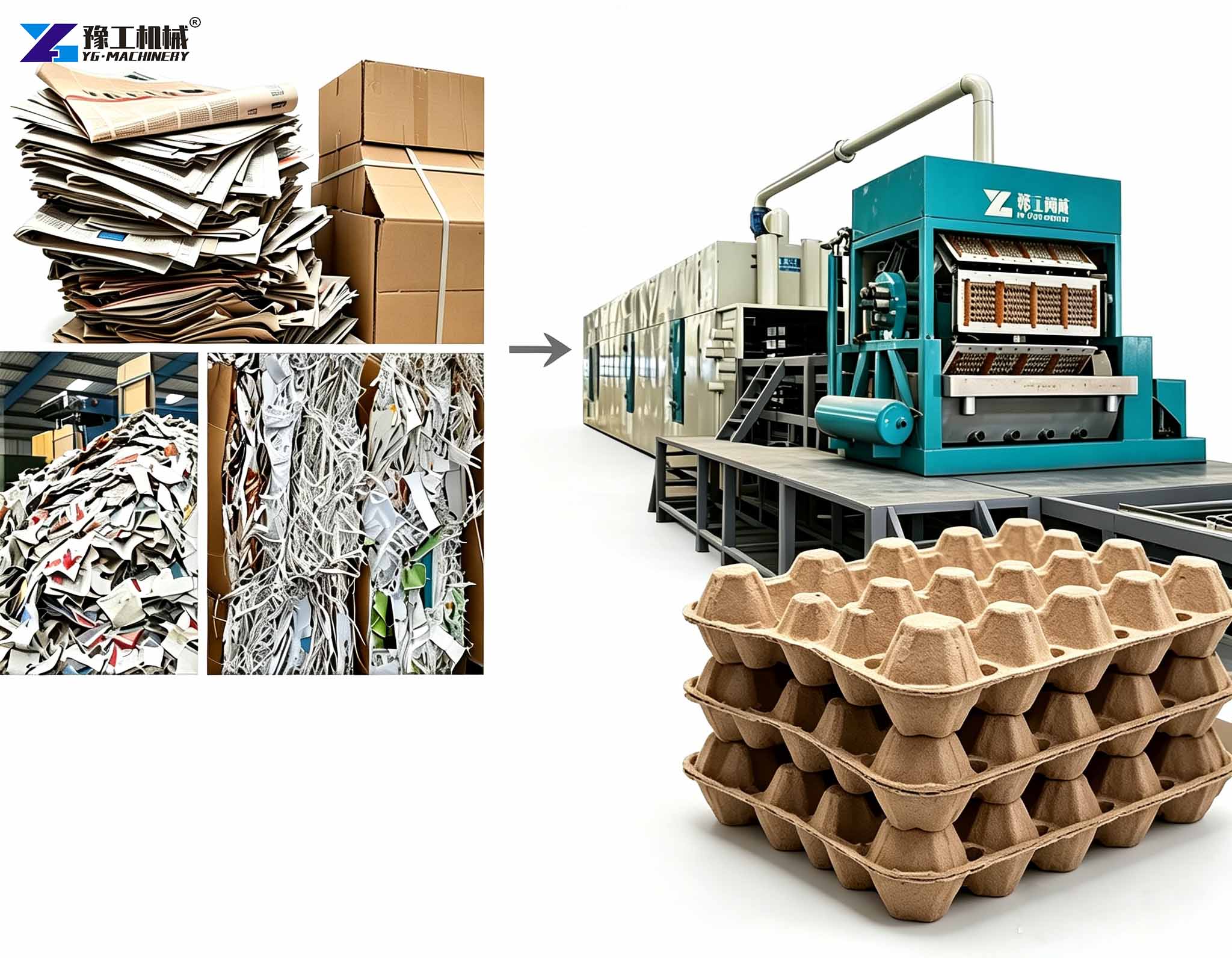 automatic egg tray machine for sale