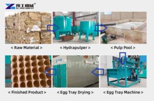 automatic egg tray machine manufacturing process
