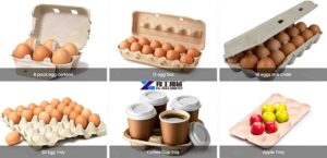 paper egg and fruit trays