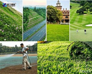 hydroseeder application scene
